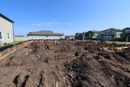 New construction Single-Family house 5092 Bromeliad Avenue, Wimauma, FL 33598 Barcello Bonus- photo 4 4