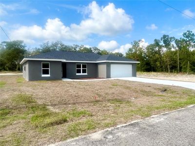 New construction Single-Family house 35 Guava Terrace Radial, Ocklawaha, FL 32179 - photo 0