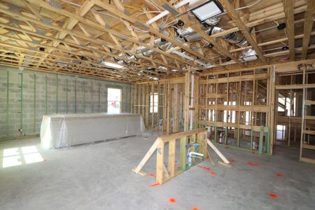 New construction Single-Family house 2463 Sunny Pebble Loop, Zephyrhills, FL 33540 Castellana- photo 53 53