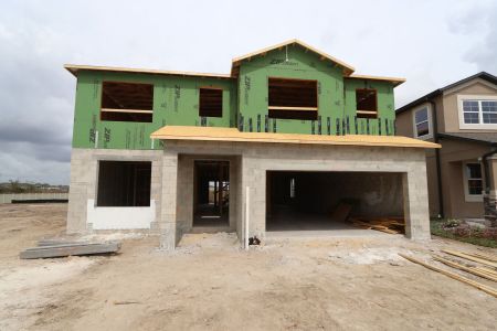 New construction Single-Family house 2522 Sunny Pebble Loop, Zephyrhills, FL 33540 Mira Lago- photo 24 24