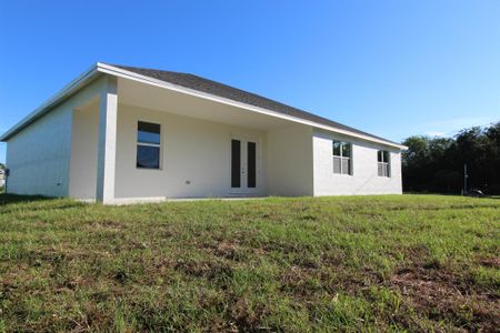 New construction Single-Family house 4037 Sw Mcintosh Street, Port St. Lucie, FL 34953 - photo 12 12