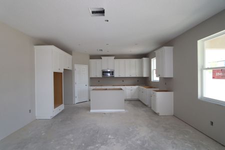 New construction Single-Family house 9358 Crescent Ray Drive, Wesley Chapel, FL 33545 Renau- photo 57 57