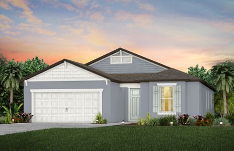 New construction Single-Family house Mystique, 12047 Orchid Ash Street, Riverview, FL 33579 - photo