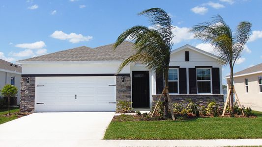 New construction Single-Family house Delray, 7802 Penrose Place, Wildwood, FL 34785 - photo