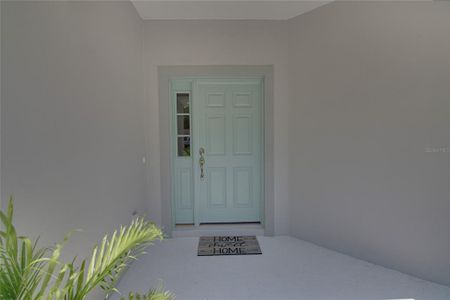 New construction Single-Family house 25845 Shawnee Street, Mount Plymouth, FL 32776 - photo 4 4