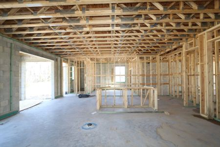 New construction Single-Family house 10614 New Morning Drive, Tampa, FL 33647 Grandsail  III- photo 34 34