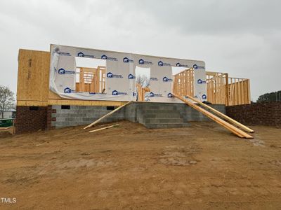 New construction Single-Family house 68 Woodbark Cove, Unit Lot 15, Willow Springs, NC 27592 - photo 4 4