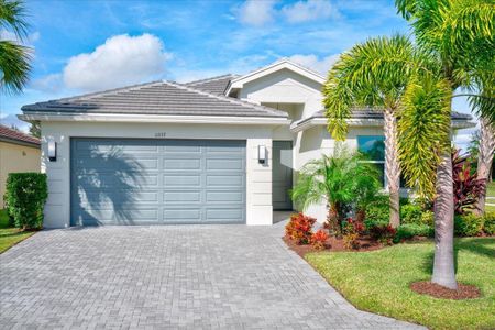 New construction Single-Family house 11357 Sw Hawkins Ter, Port St. Lucie, FL 34987 - photo 0
