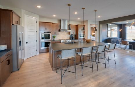 Sterling Ranch Apex Collection by Pulte Homes in Littleton - photo 36
