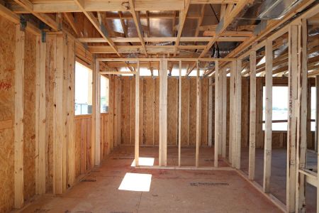 New construction Single-Family house 2885 Misty Marble Drive, Zephyrhills, FL 33540 Herrera- photo 17 17