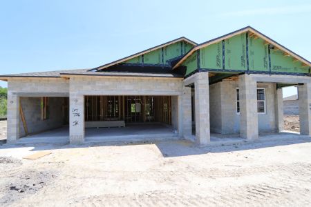 New construction Single-Family house 7654 Hemlock Seed Drive, Wesley Chapel, FL 33545 Corina  III- photo 7 7