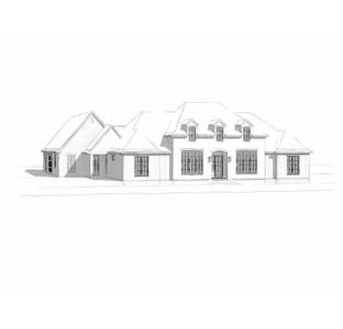 New construction Single-Family house 100 S Spanish Plum Court, Aledo, TX 76008 - photo 1 1