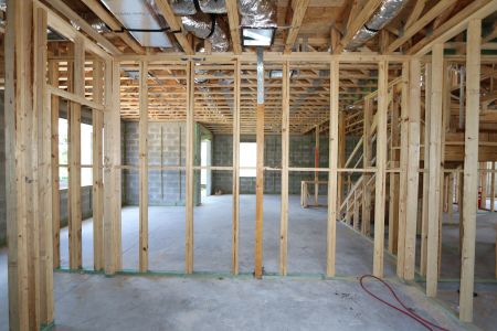 New construction Single-Family house 9635 Crescent Ray Drive, Wesley Chapel, FL 33545 Mira Lago- photo 59 59