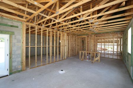 New construction Single-Family house 2885 Misty Marble Drive, Zephyrhills, FL 33540 Herrera- photo 38 38