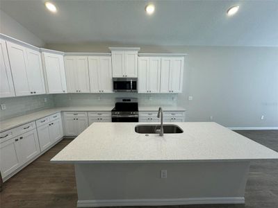 New construction Single-Family house 25450 Lido Avenue, Mount Plymouth, FL 32776 - photo 3 3