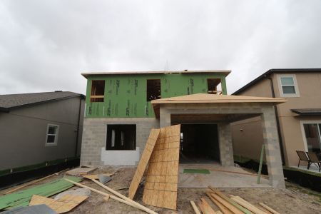 New construction Single-Family house 2852 Misty Marble Drive, Zephyrhills, FL 33540 Castellana- photo 11 11