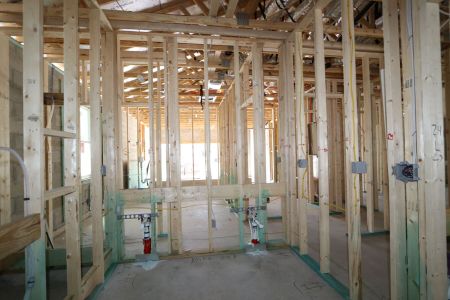 New construction Single-Family house 38173 Shale Stone Court, Zephyrhills, FL 33540 Miranda- photo 35 35