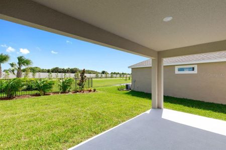 New construction Single-Family house 5942 Golden Nettle Drive, Apollo Beach, FL 33572 - photo 6 6