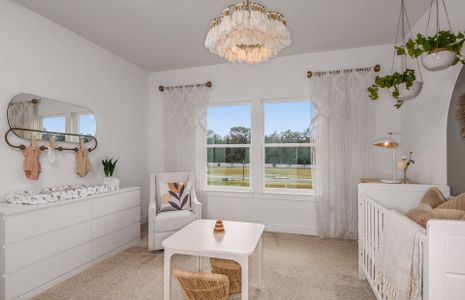 New construction Single-Family house Simmons Ranch Court, Riverview, FL 33578 - photo 13 13