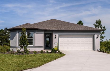 New construction Single-Family house 3362 Yellow Leaf Circle, Spring Hill, FL 34609 - photo 0