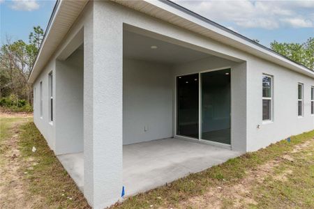 New construction Single-Family house 7845 Sw 128Th Street Road, Ocala, FL 34473 - photo 31 31