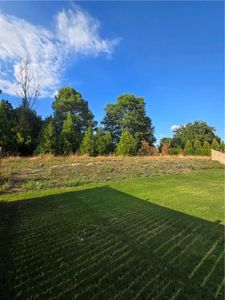 New construction Single-Family house 3093 Lowell Road, Bethlehem, GA 30620 Mitchell- photo 9 9