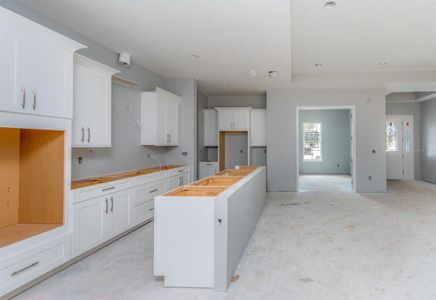 New construction Single-Family house 4780 Majestic Hills Loop, Brooksville, FL 34601 - photo 8 8