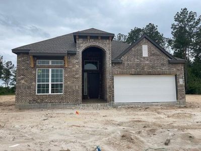 New construction Single-Family house 405 Emory Peak Lane, New Caney, TX 77357 Lynnbrook- photo 0 0