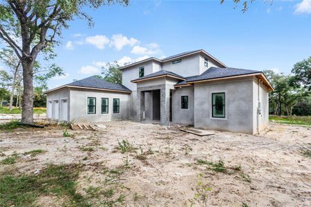 New construction Single-Family house 20200 Wolf Springs Court, Clermont, FL 34715 - photo 1 1