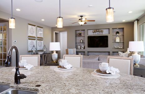 Parkside at Anthem at Merrill Ranch by Pulte Homes in Florence - photo 33