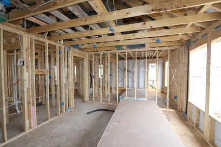New construction Single-Family house 205 Castle Rock Drive, Melissa, TX 75454 Camelia- photo 35 35