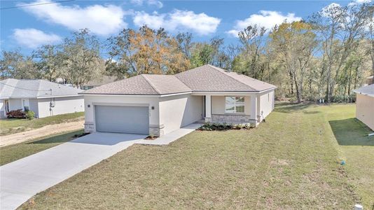New construction Single-Family house 9362 Se 157Th Place, Summerfield, FL 34491 - photo