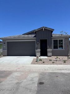 New construction Single-Family house 4591 S Siphon Draw Road, Apache Junction, AZ 85119 - photo 3 3