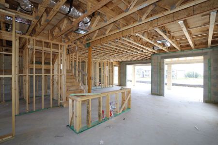 New construction Single-Family house 31810 Sapna Chime Drive, Wesley Chapel, FL 33545 Mira Lago- photo 25 25
