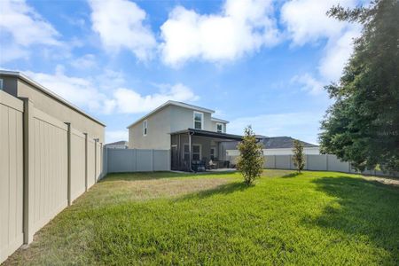 New construction Single-Family house 17022 Oval Rum Drive, Wimauma, FL 33598 - photo 45 45