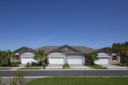 New construction Single-Family house 867 Ruddy Quail Pl, Sun City Center, FL 33573 - photo 35 35