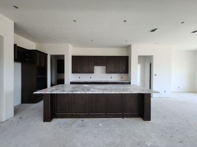 New construction Single-Family house 409 Christel Sun Lane, Aledo, TX 76008 Azalea- photo 5 5