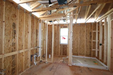 New construction Single-Family house 9611 Crescent Ray Drive, Wesley Chapel, FL 33545 Dali- photo 28 28