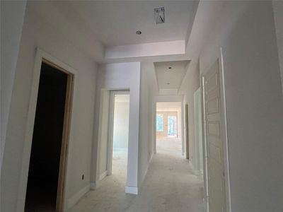 New construction Single-Family house 116 Pineview Cove Court, Montgomery, TX 77316 Bluebird- photo 5 5