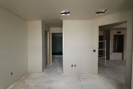 New construction Single-Family house 31835 Sapna Chime Drive, Wesley Chapel, FL 33545 Salinas- photo 52 52