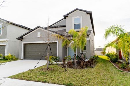 New construction Single-Family house 5204 White Chicory Drive, Apollo Beach, FL 33572 - photo 2 2