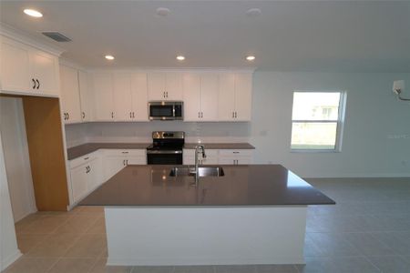 New construction Single-Family house 9220 Westernwoods Avenue, Parrish, FL 34219 Palisades- photo 6 6