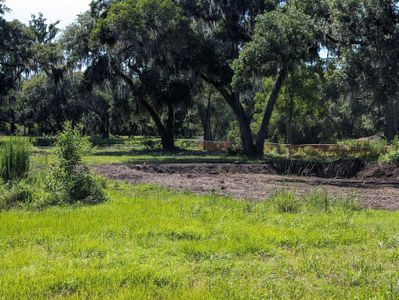 New construction Single-Family house 2976 Lodge Berry Lane, Johns Island, SC 29455 WAILER - photo 46 46