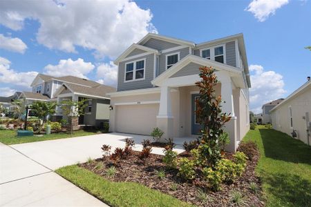 New construction Single-Family house 5932 Golden Nettle Drive, Apollo Beach, FL 33572 - photo 6 6