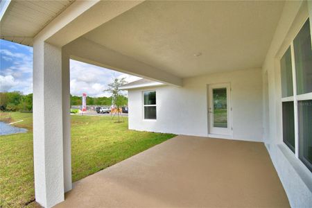 New construction Single-Family house 1238 Tagliamento Lane, Haines City, FL 33844 - photo 5 5