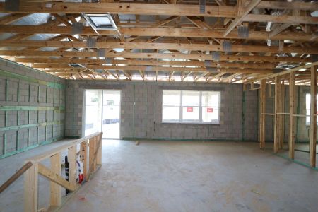 New construction Single-Family house 32568 Sapna Chime Drive, Wesley Chapel, FL 33545 Barcello- photo 23 23