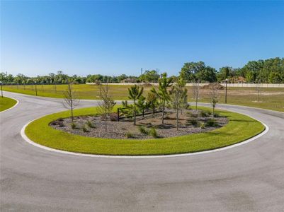 New construction Single-Family house 14294 Pine Straw Court, Dover, FL 33527 - photo 19 19