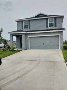 New construction Single-Family house 11712 Sabal Scrub Court, Riverview, FL 33579 - photo 0