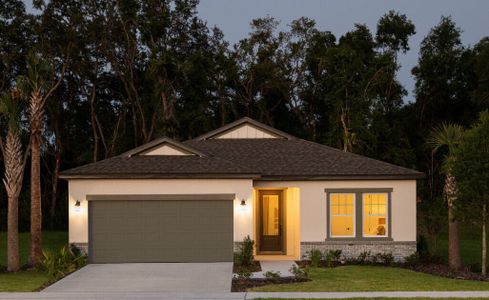 New construction Single-Family house Badland, Jones Road, Saint Cloud, FL 34771 - photo