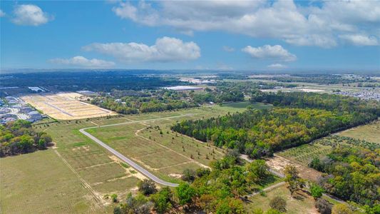 New construction Single-Family house Lot 2 Panoramic View Dr, Apopka, FL 32712 - photo 10 10